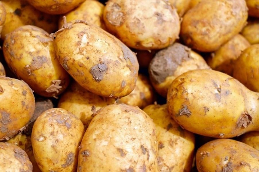 'Access to quality land is diminishing' - GB Potatoes chair