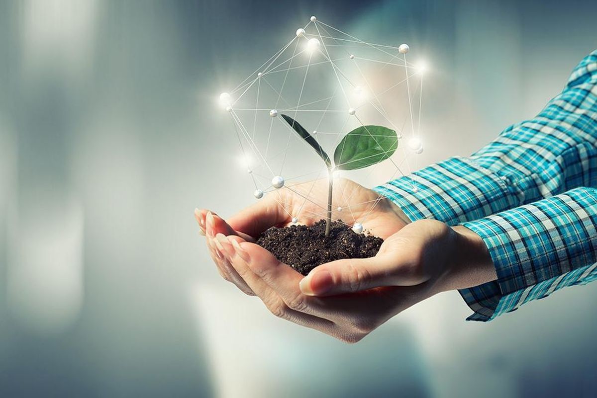 Origin Enterprises sees 47% rise in group revenue