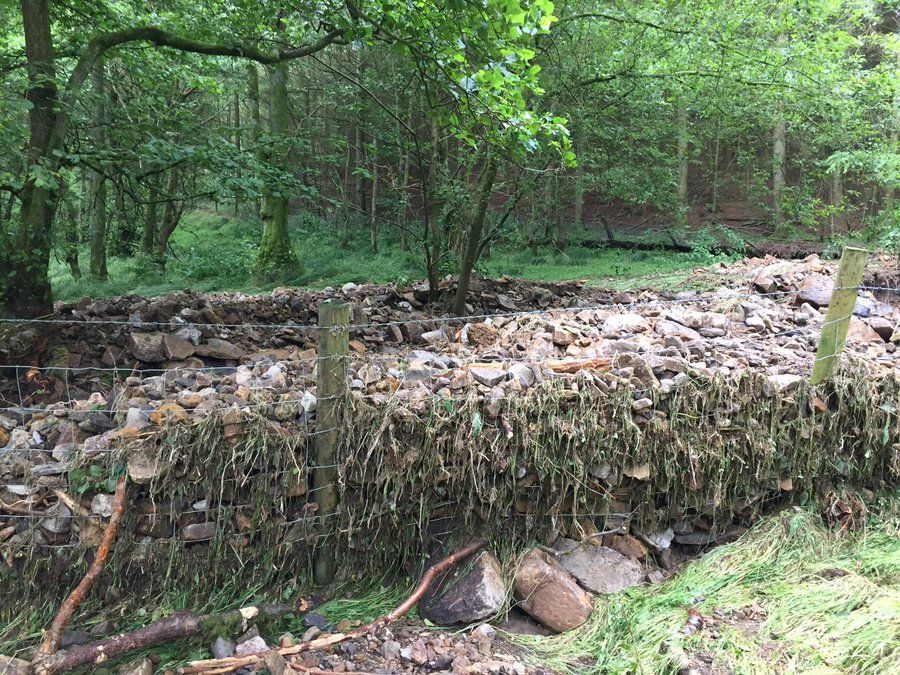 Defra to make £2 million available to help Yorkshire farmers