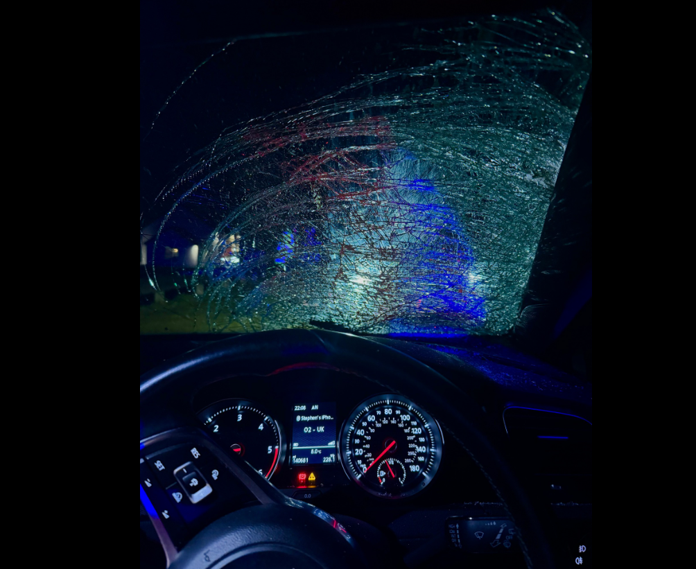Black cow on unlit road led to ‘written off car’ – PSNI