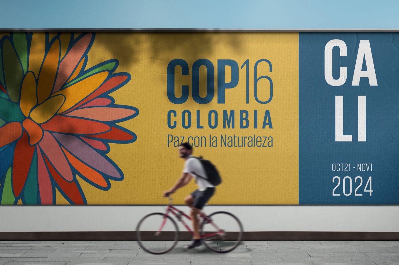 UK to kickstart new global efforts to protect and restore nature at COP16