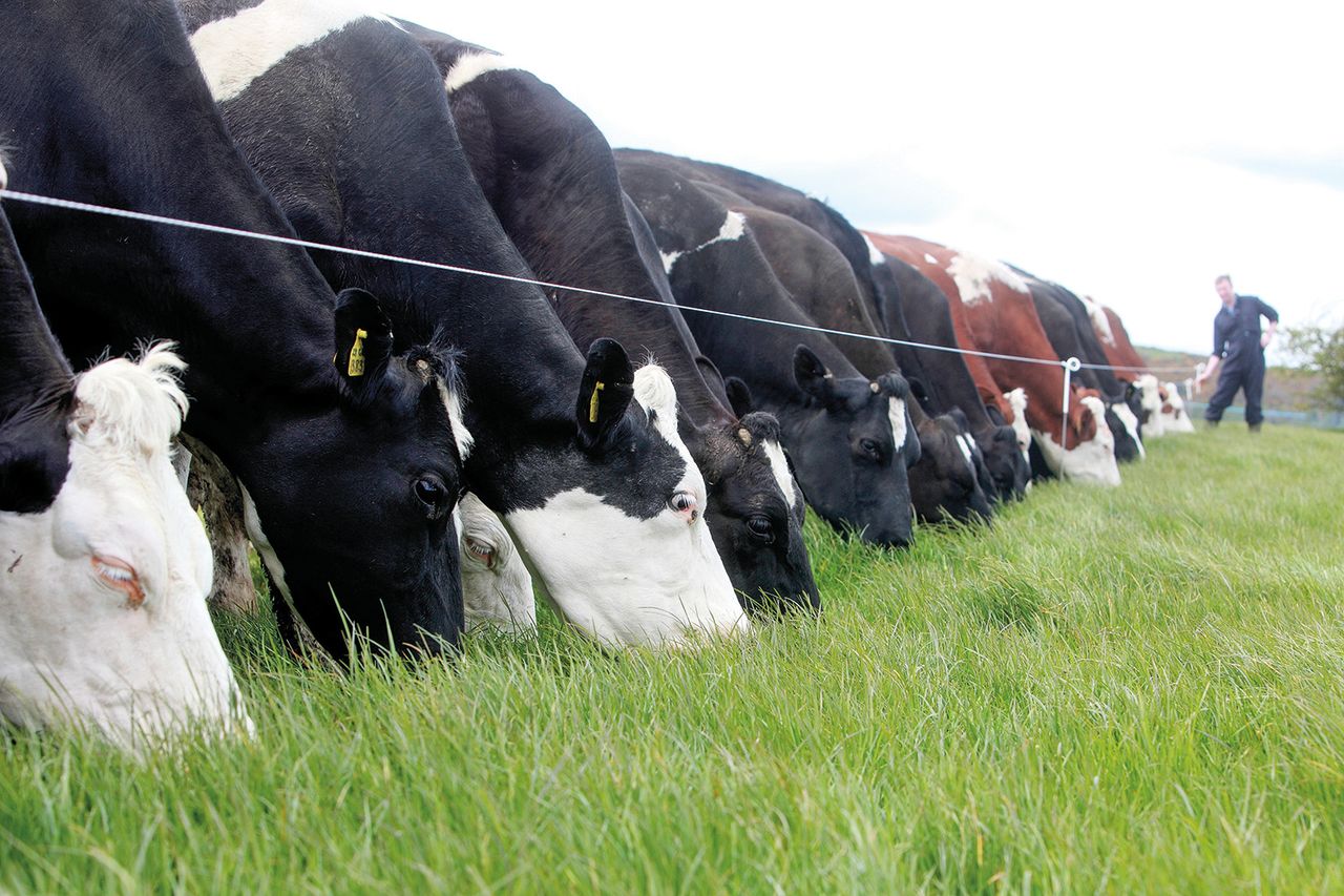 Grass growth rates set to take off