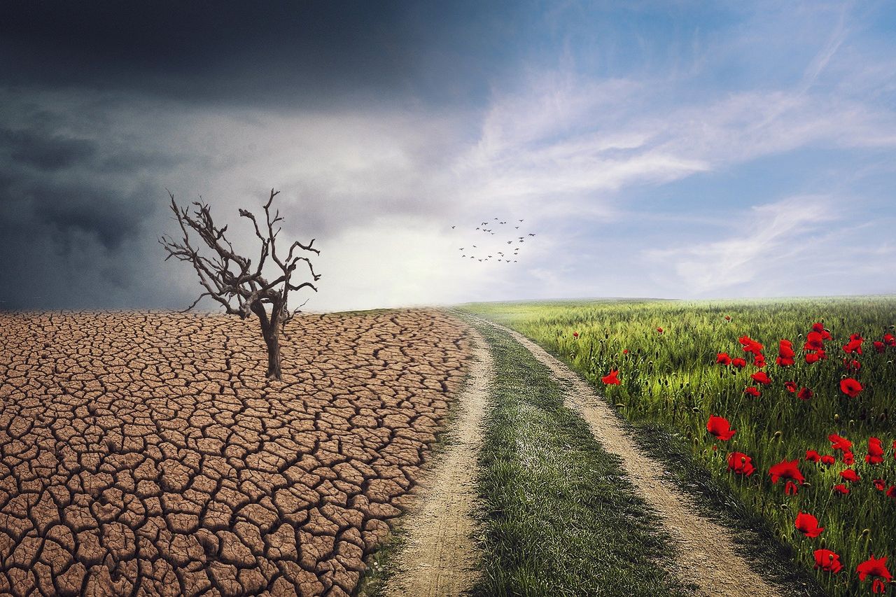 Britain votes Obki as COP26 UK ambassador