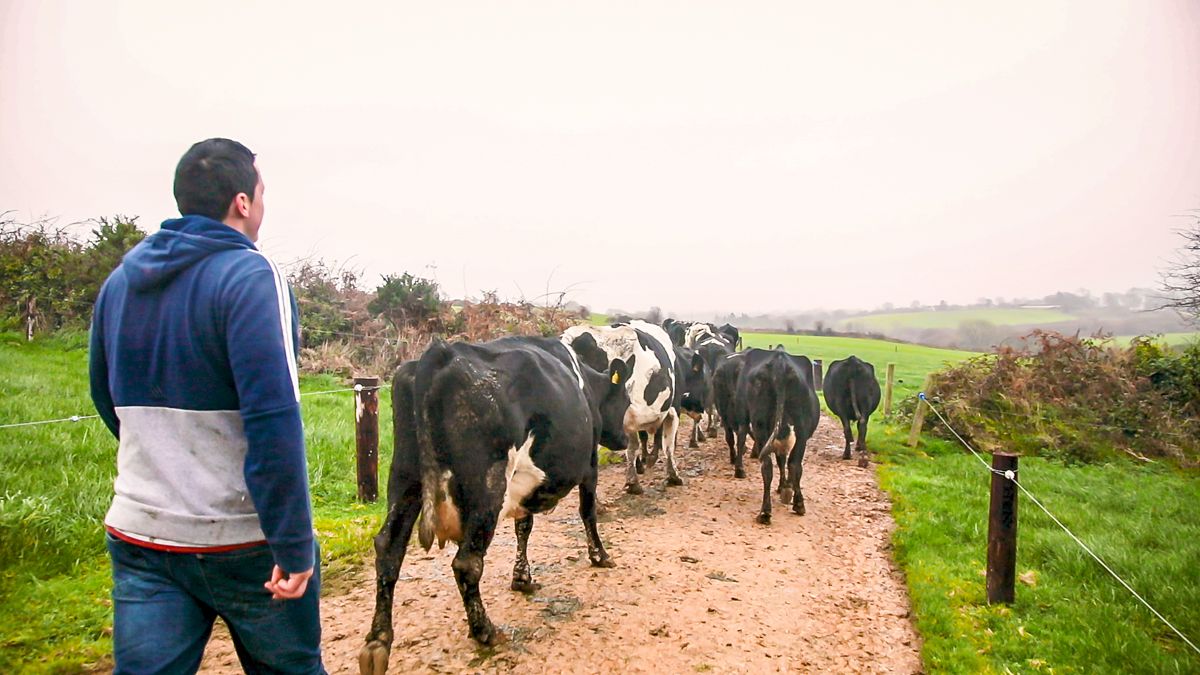 'Income might be up, but farmers continue to face tough times ahead'