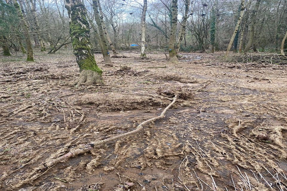 Farmer pollutes stream after collapse of a dam made of manure