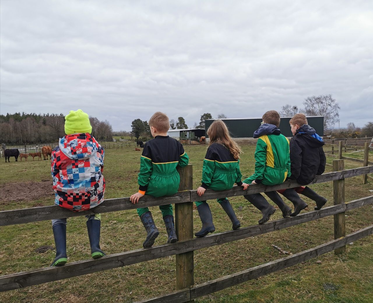 Home educating on the farm: Family share lessons learned