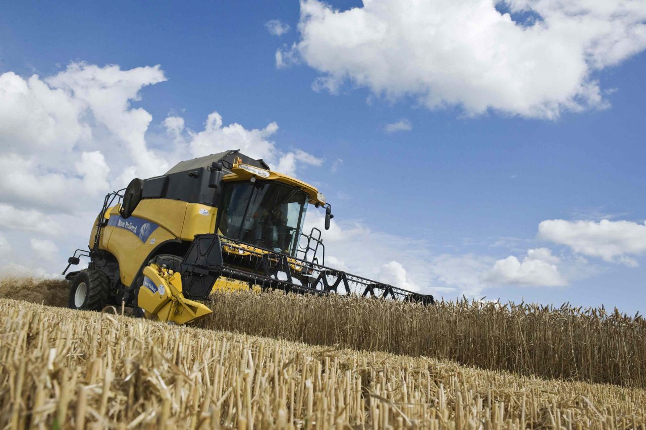 UK set to record fourth biggest wheat harvest on record