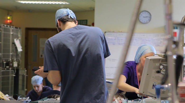 RCVS accepts APHA proposals on certification support officers