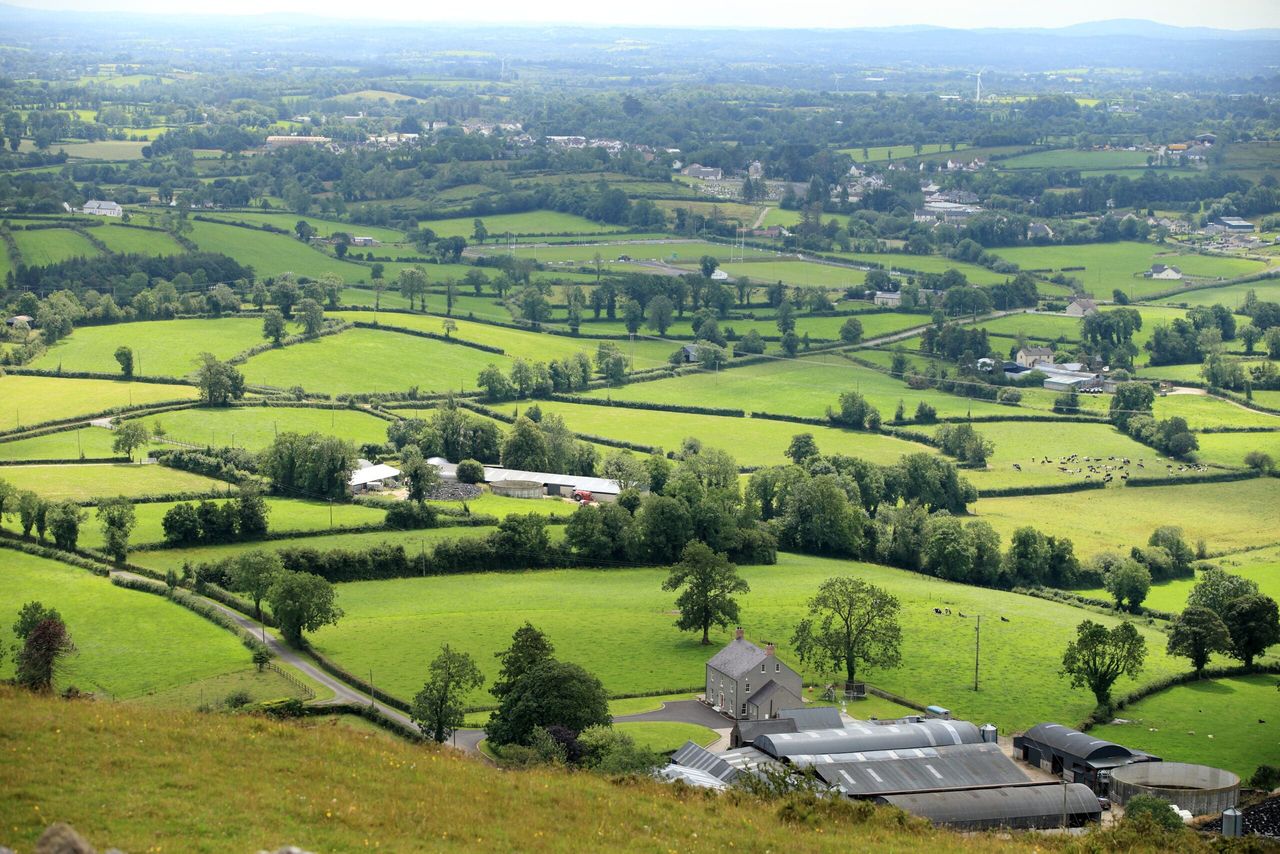 DAERA opens regional food programme for applications