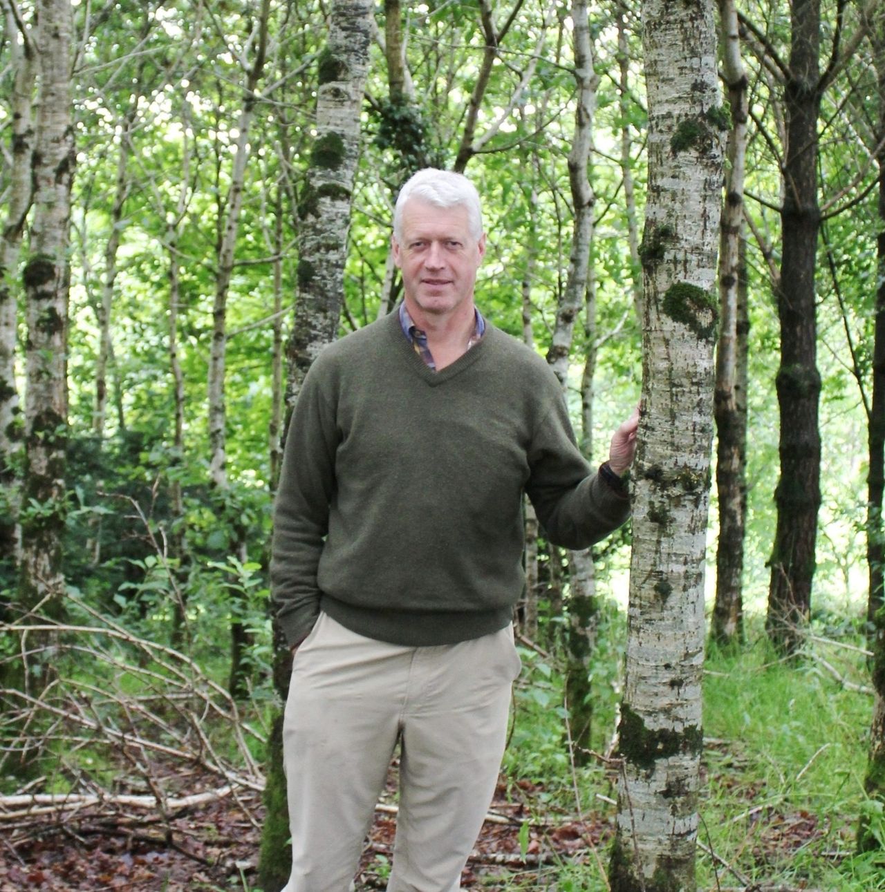 Calls for a review of Northern Ireland’s Forest Service