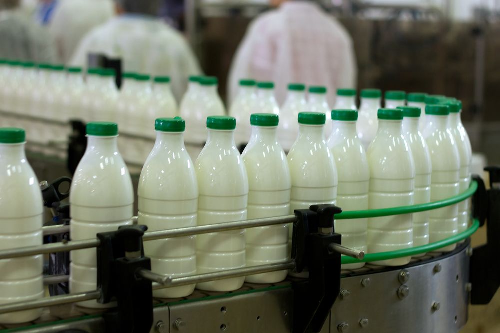 US June milk production up 0.7% year-on-year