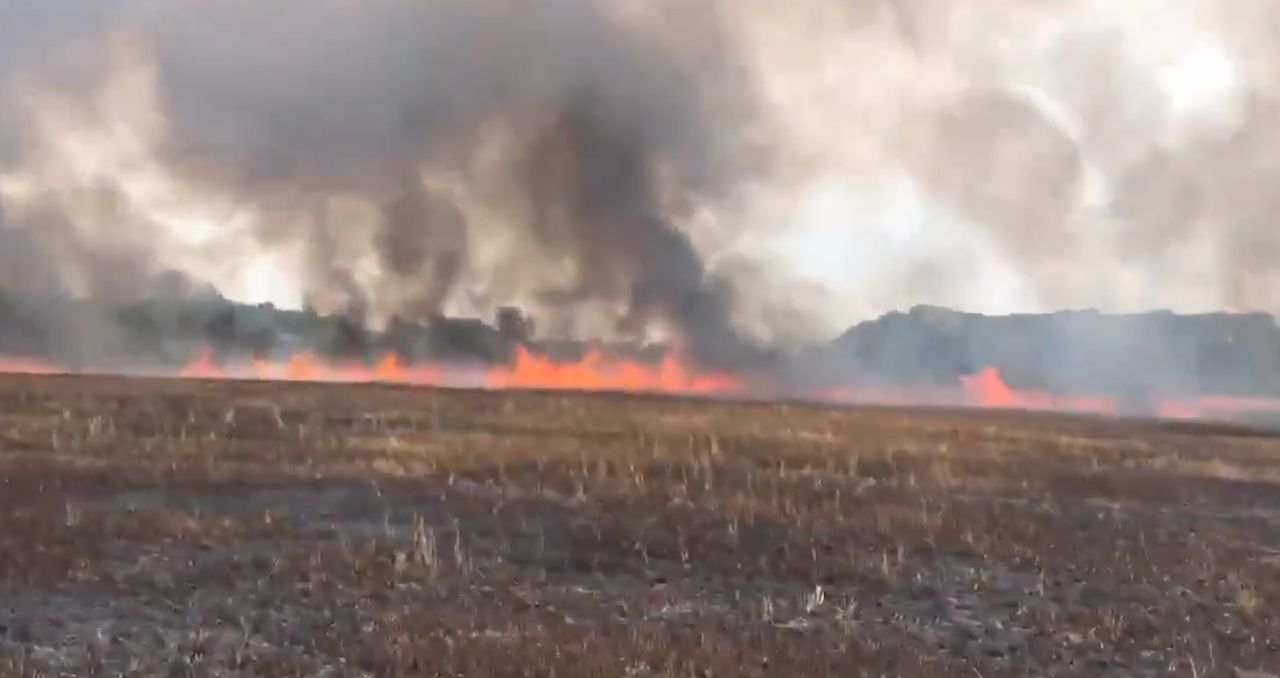 35ac of barley up in smoke due to suspected rubbish burning in Suffolk