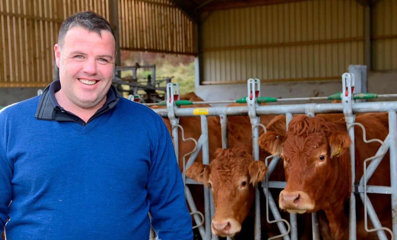 Enhancing suckler beef production on the agenda at monitor meeting