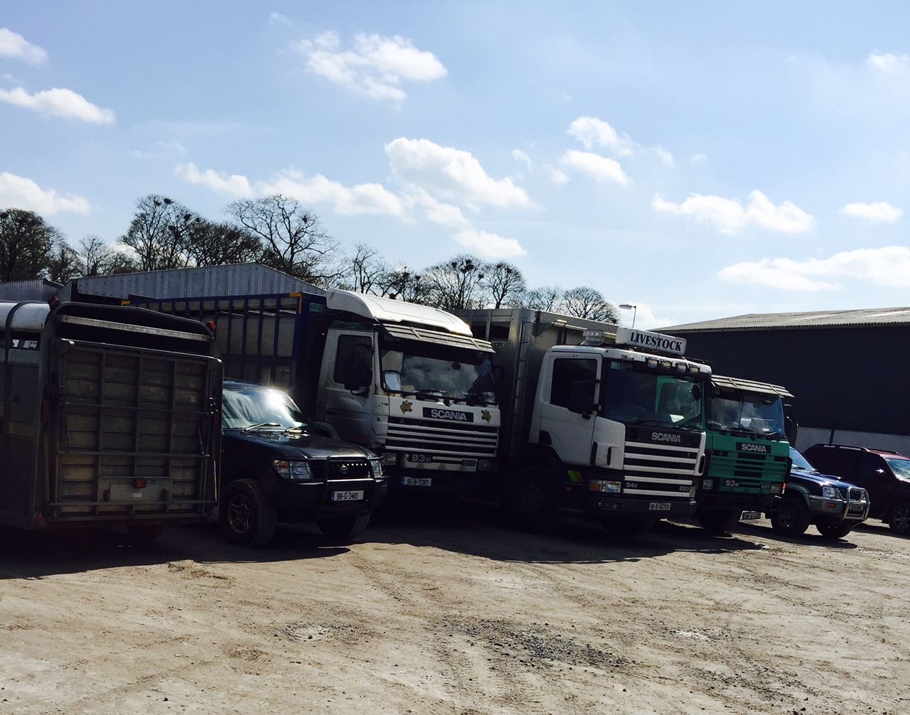 Farmer and haulier fined for transporting an unfit animal