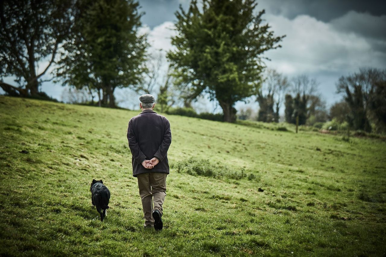 Land mobility: Calls for tax relief to support scheme in NI