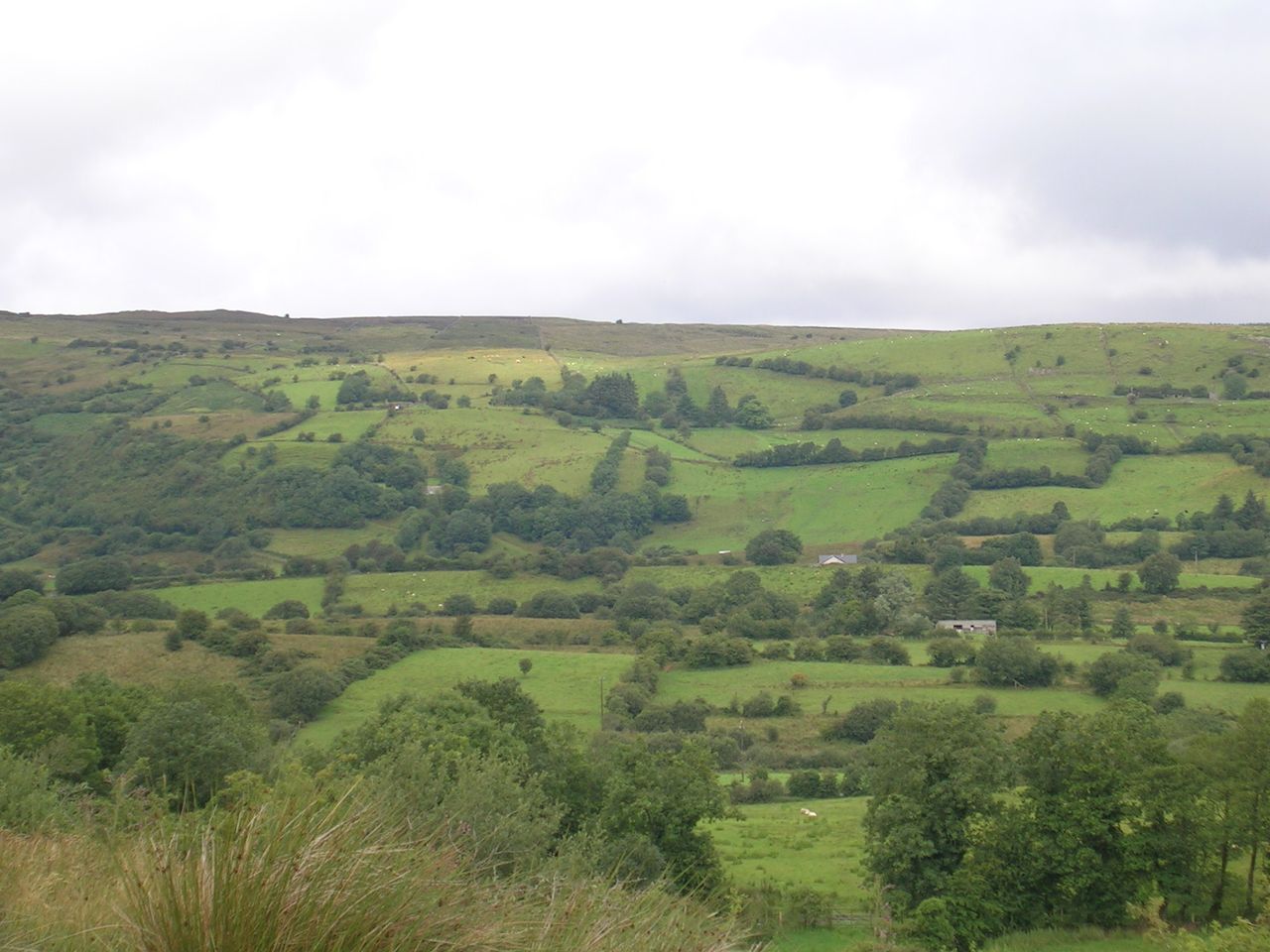 'Land transfer and succession, it burdens young and old'