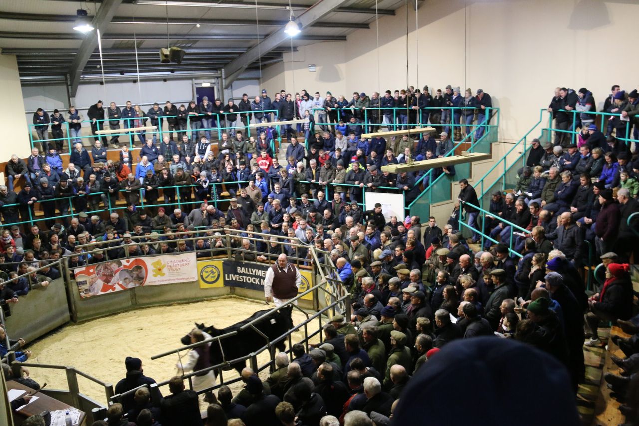 Charity livestock auctions reach just shy of £100,000 target