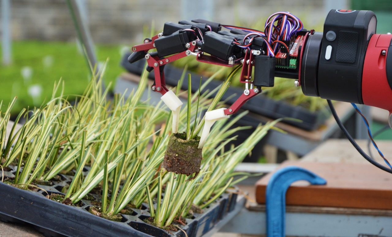 Horticulture conference to bring international robotics experts to UK