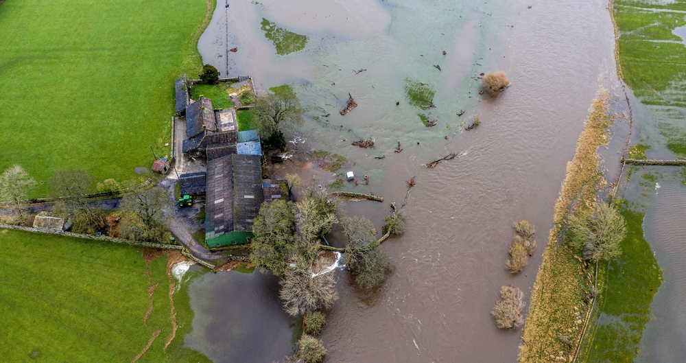 Government measures for flood-stricken farms 'a huge relief'
