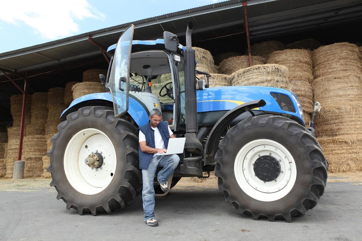 AHDB tool to help farms 'identify financially worthwhile' SFI actions