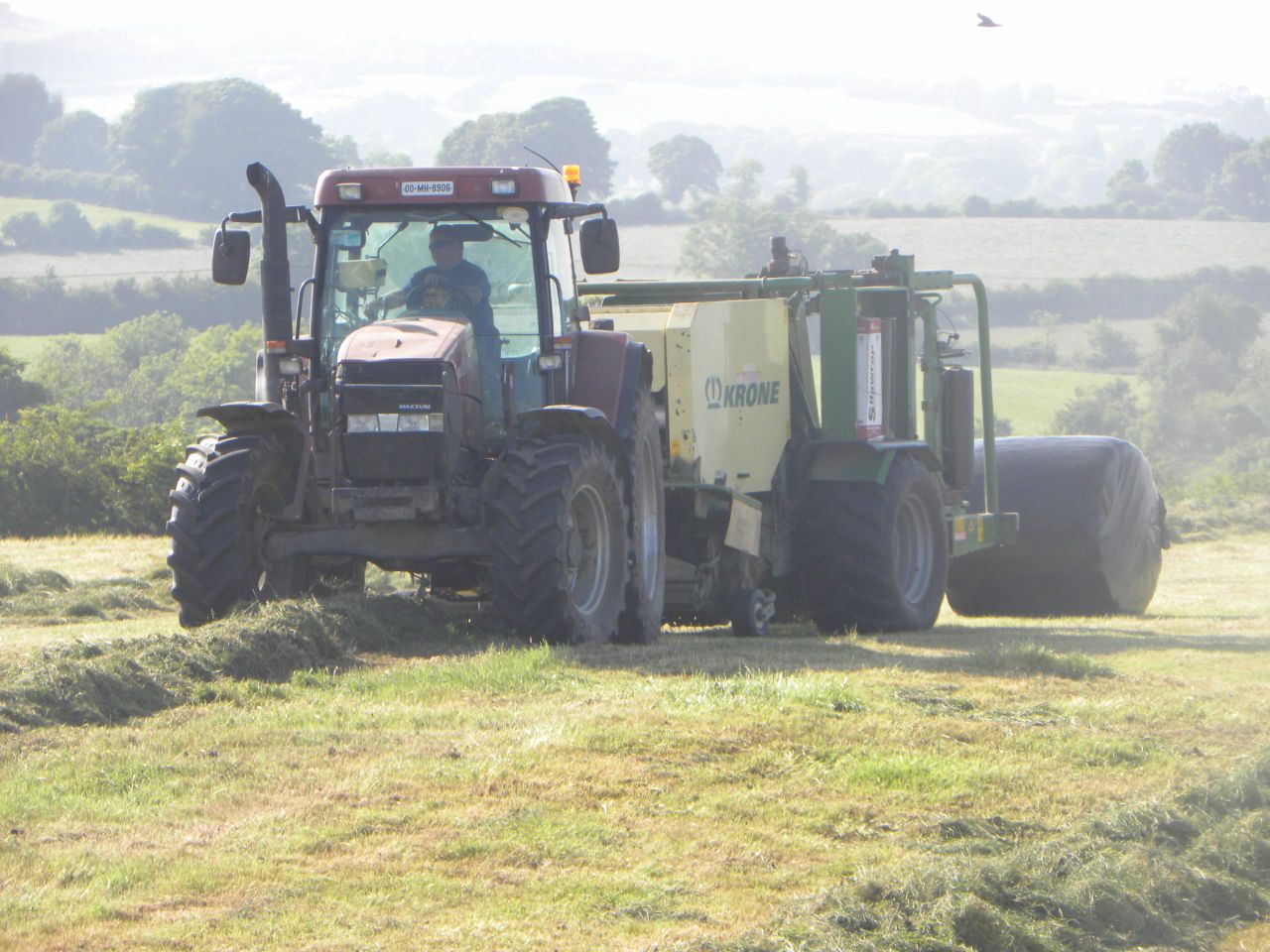 Cut silage yields super, but quality dropping