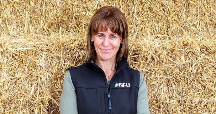 NFU president’s New Year message highlights 'opportunities' of the new decade