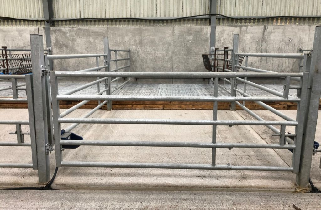Time to get calf sheds cleaned and disinfected