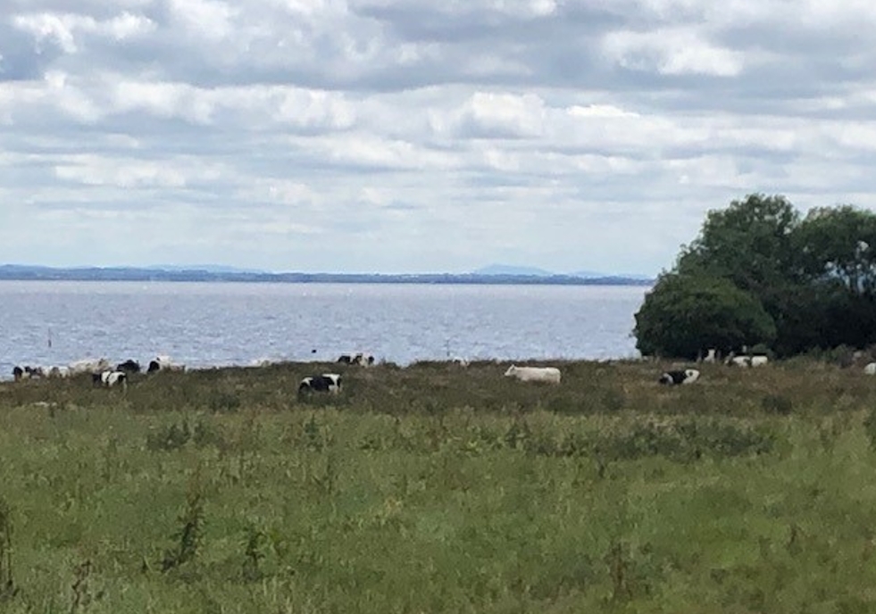 Farmers’ concerns prompt extension to consultation in NI on NAP