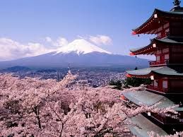 Ireland set to blossom in Japan