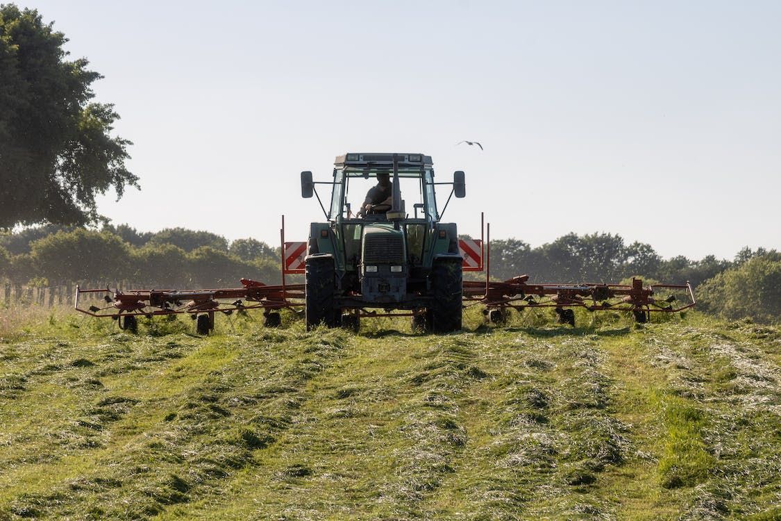 Labour not mentioning agri budget is 'deeply disappointing' - NFU