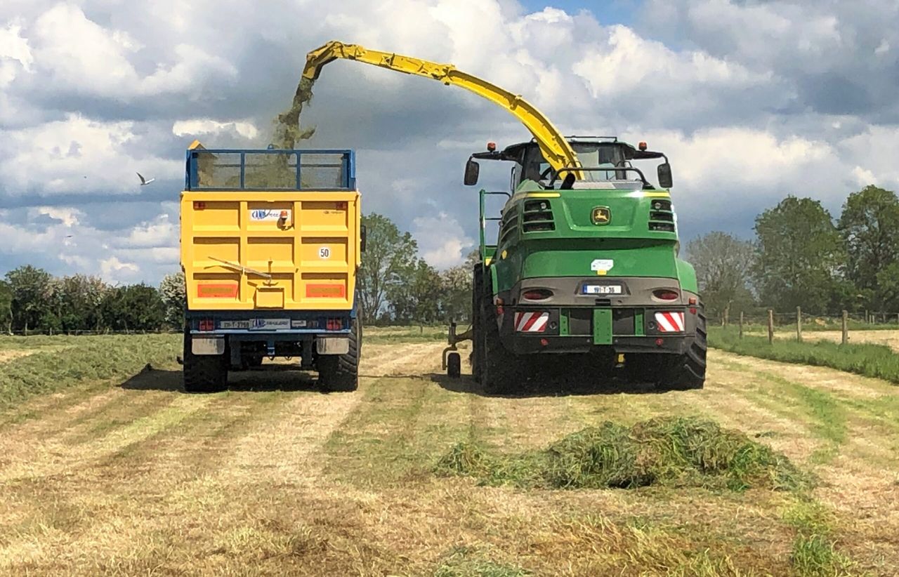 Introducing a multi-cut silage system – CAFRE