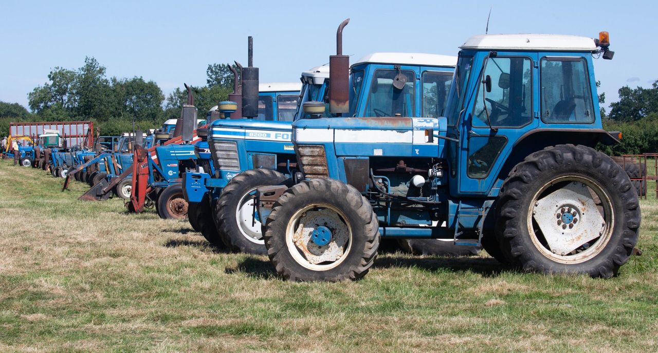 Auction report: Enough Fords to fill a field; check out these prices