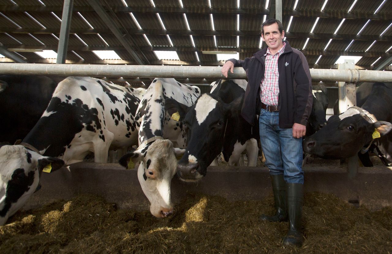 Just add water...could this simple trick improve your herd's productivity?