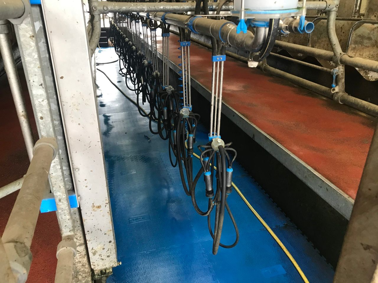 Farmers urged to work with milk processors and feed companies