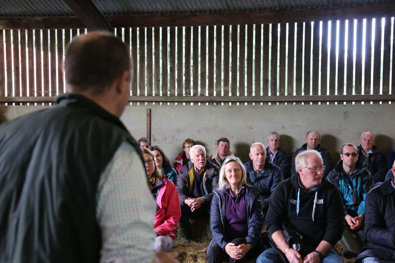 US breeding system boosts profitability...in rural Northern Ireland