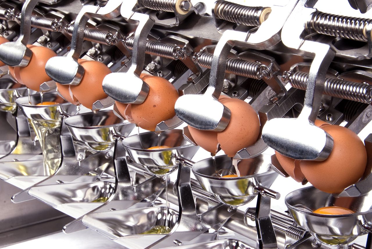 British egg imports fall as Lion-stamped sales increase