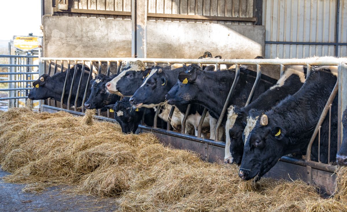 Banks in NI stand ready to support weather-hit farmers