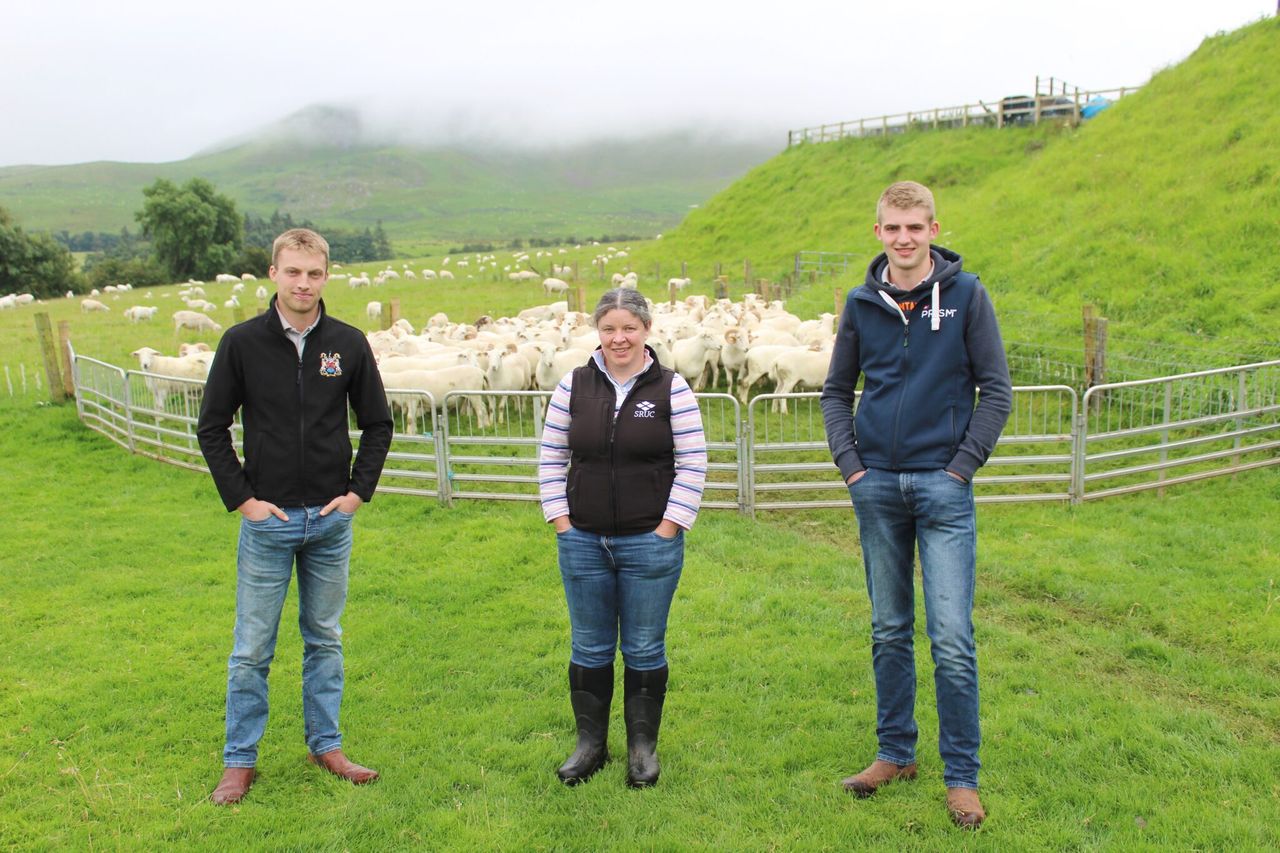 Genomics will ‘revolutionise’ performance in sheep sector