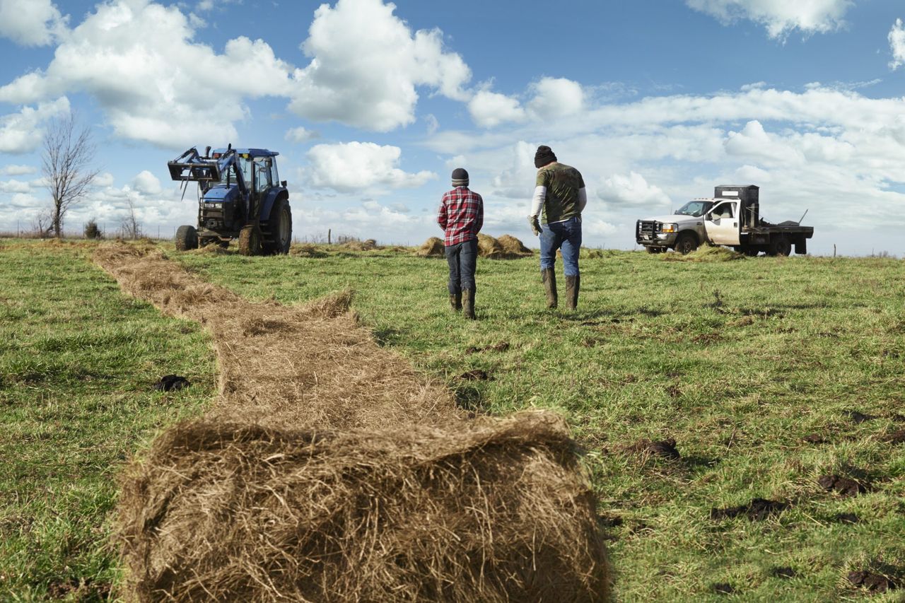 ‘No meaningful support’ for young NI farmers this year – UFU