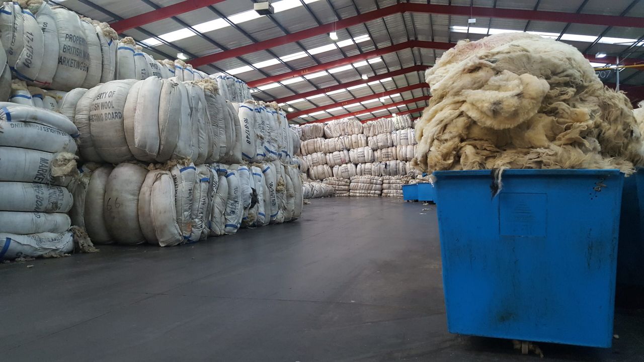 British Wool seeks candidates for upcoming board elections