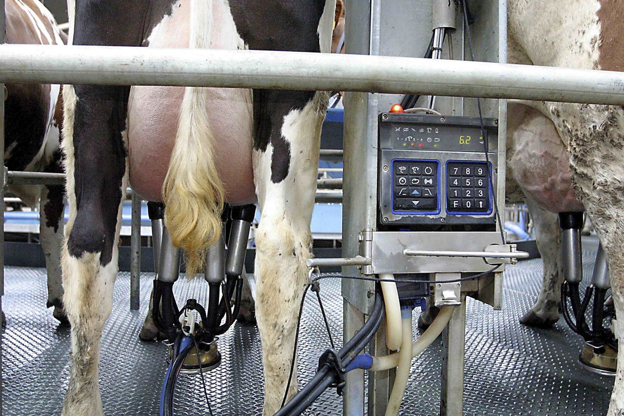 April sees European wholesale dairy markets fall again