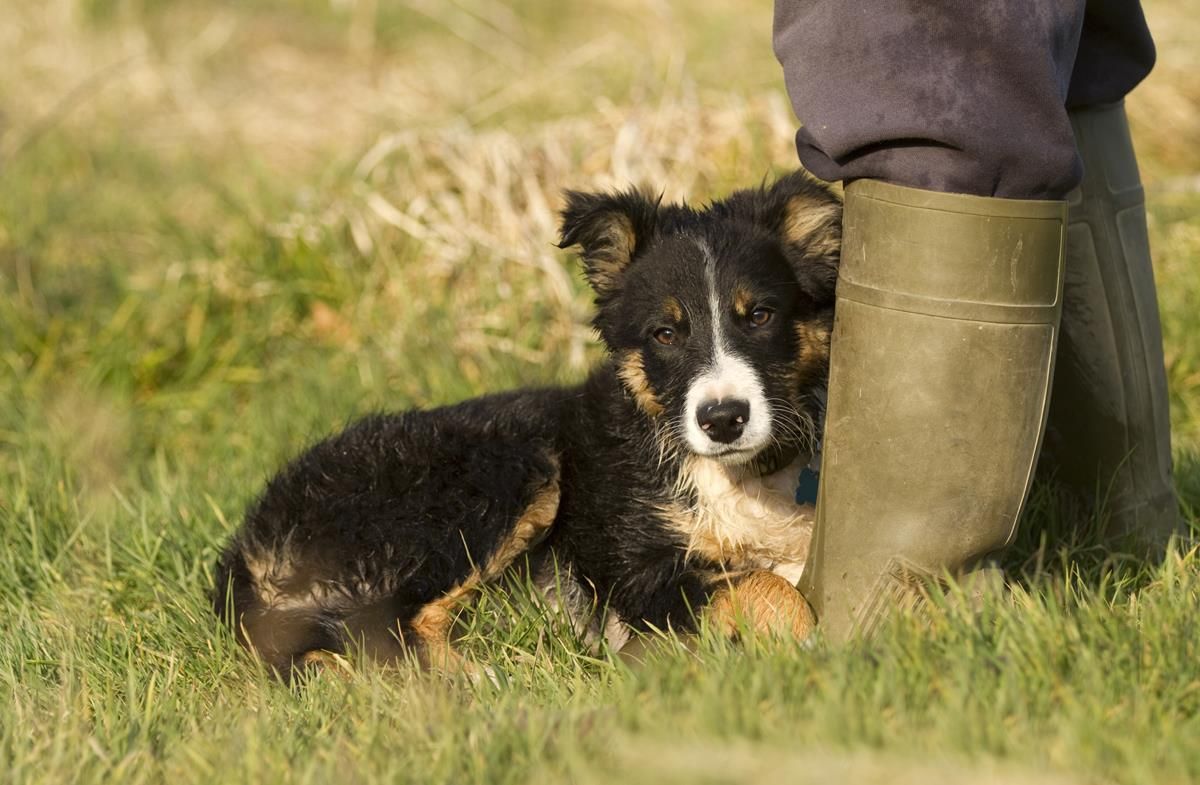 Looking for a fresh new job in agriculture?