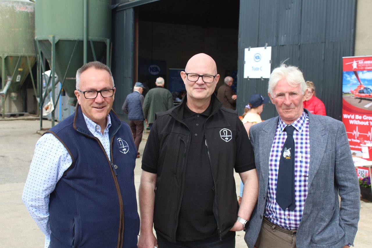 Ulster Wool Group: ‘Significant increase’ in fleece deliveries expected