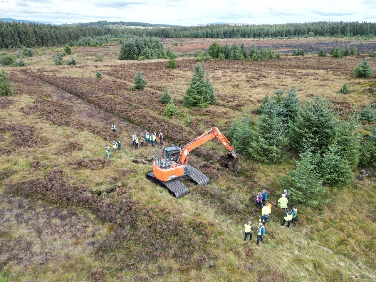 Over 30 people complete NI peatland restoration training