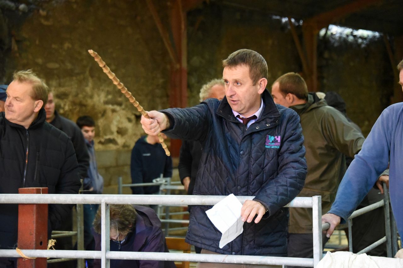 Welsh farmers familiar with EBVs but not exploiting them
