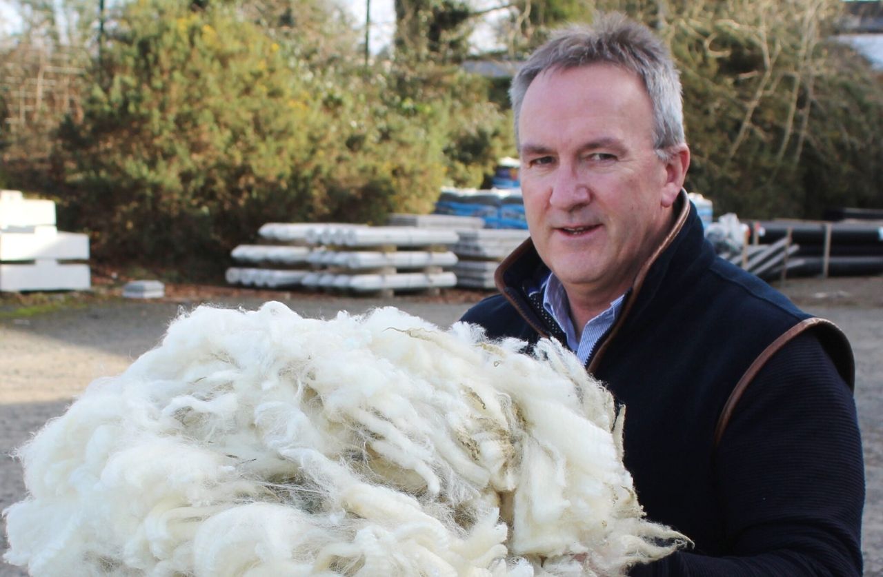 Ulster Wool: Ongoing rise in prices to be ‘fully reflected’ in payments next year