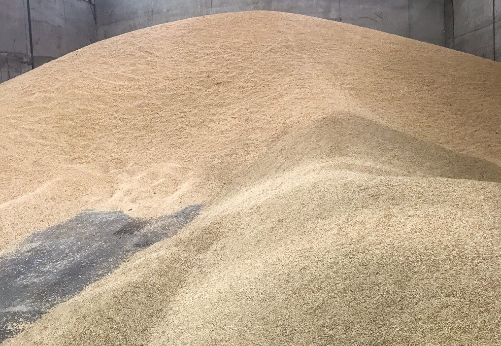 £3m in funding to enable shipments of Ukrainian grain to Nigeria