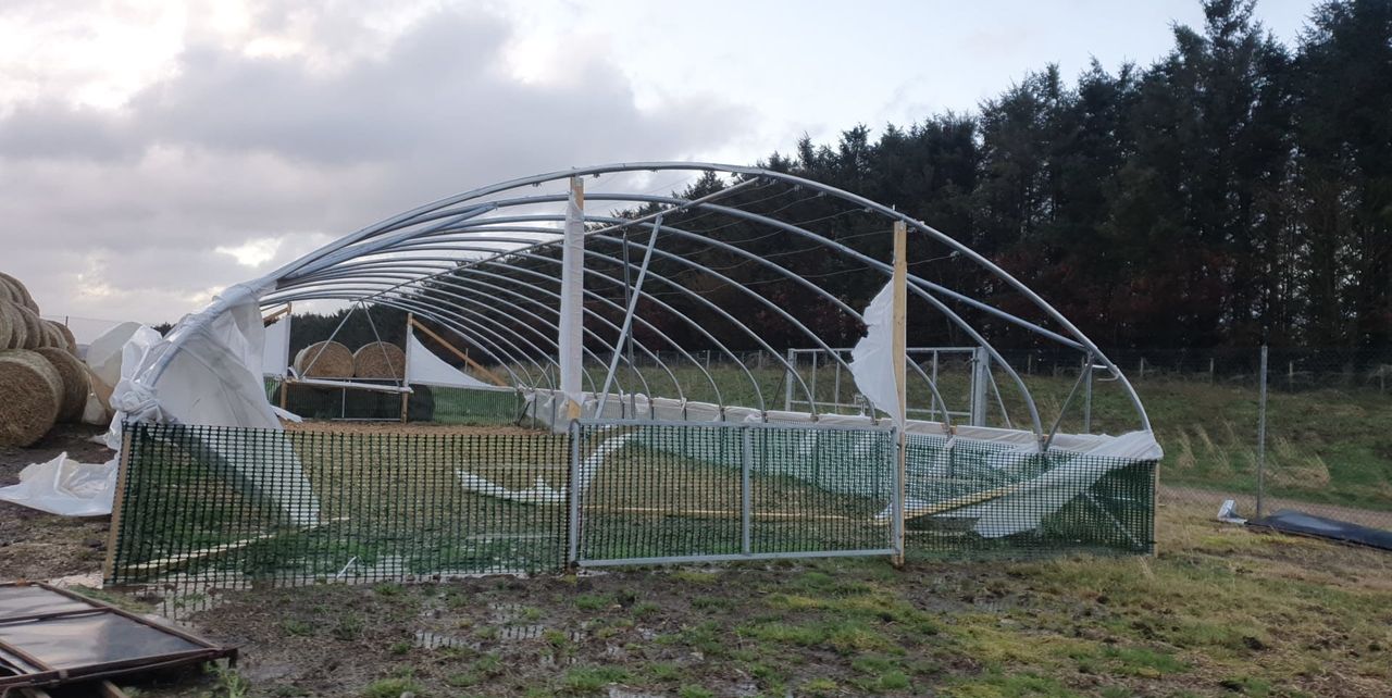 Farmers count the cost of Storm Arwen