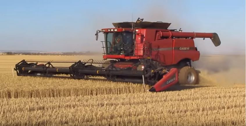 Video: 'Killer' machine to tackle herbicide resistant weeds