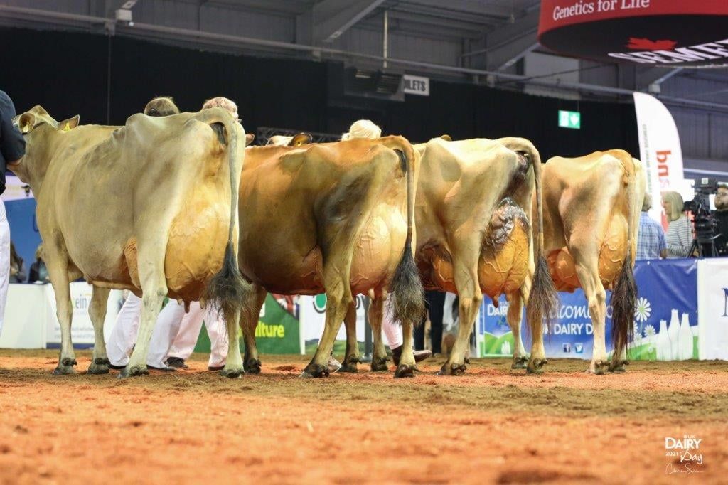 Three more judges confirmed for UK Dairy Day